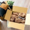 Mengshan2025 New bubble wrap Honeycomb Packing Paper Wrap Sustainable Alternative to Bubble Wrap Eco Friendly Packing Protective Paper for Moving. 