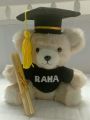 Graduation Teddy Bear/Personalized graduation teddy bear. 