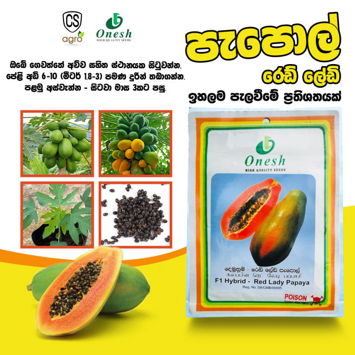 Papaya F1 Hybrid - Red Lady Seeds 1g 60 Seeds Gardening Agriculture Home Papol Seed
