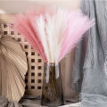 Simulation Flowers Reed Pampas Grass Fake Flowers Decorative Flower Arrangements Window Living Room Wedding Floor Decorative Flowers. 