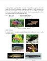 Grade 10 Aquatic Bioresources Technology textbook | Sinhala Medium – New Syllabus. 