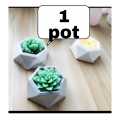 CACTUS MINI POTS cacti planters cactus plant pot flower pot indoor flower planter small flower pots. 