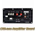 12V High Power Subwoofer Amplifier Board Fits for Car 10 Inch Speaker CAR-860. 