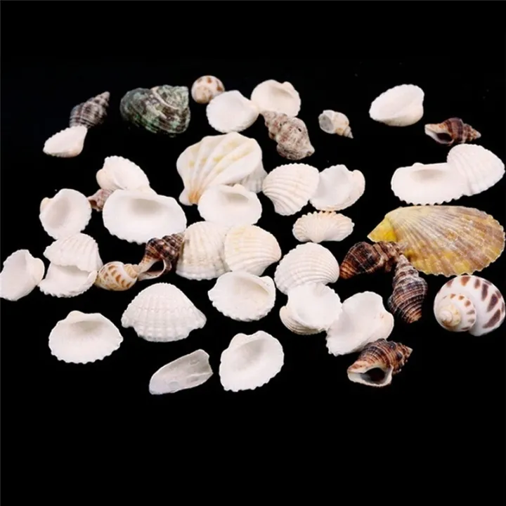 100g%20Beach%20Mixed%20SeaShells%20Mix%20Sea%20Shells%20Shell%20Craft%20SeaShells%20Aquarium%20Decor%20-%20Image%202