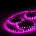 5M 3528 SMD 300 Pink LED Flexible Strip Light Car Auto Home Bar 12V. 