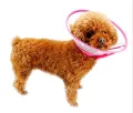 Dog Anti Bite Collar Lick Proof Wound-Recovery Soft Translucent Ruff Funnel Cover For Small Dog And Cat - M. 