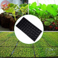 50 Holes 1 Pcs Thick black seedling tray  seedling nursery seed tray Seeds starter Trays Seeding Trays. 