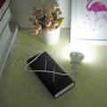 Portable Camping LED Lamp/Mini 5W LED Bulb with USB for Reading, Study, Table. 