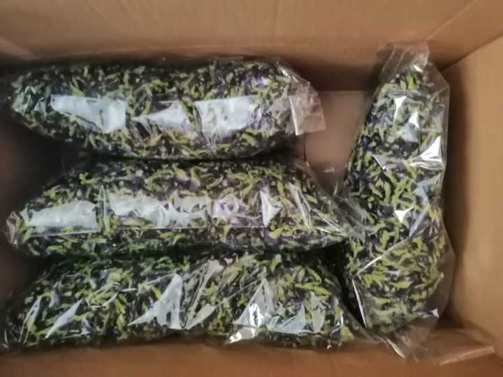 50%20Dry%20Flowers,%20%20Katarodu,%20Nil-Katarolu,%20Nilkatarodu,%20%E0%B6%B1%E0%B7%92%E0%B6%BD%E0%B7%8A%20%E0%B6%9A%E0%B6%A7%E0%B6%BB%E0%B7%9C%E0%B7%85%E0%B7%94.%20Blue%20Butterfly%20Pea,%20Clitoria%20ternatea%20.%20Karuttappu%20-%20Image%206