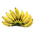 AMBUL BANANA (ඇබුල් කෙසෙල්) - 1Kg. 