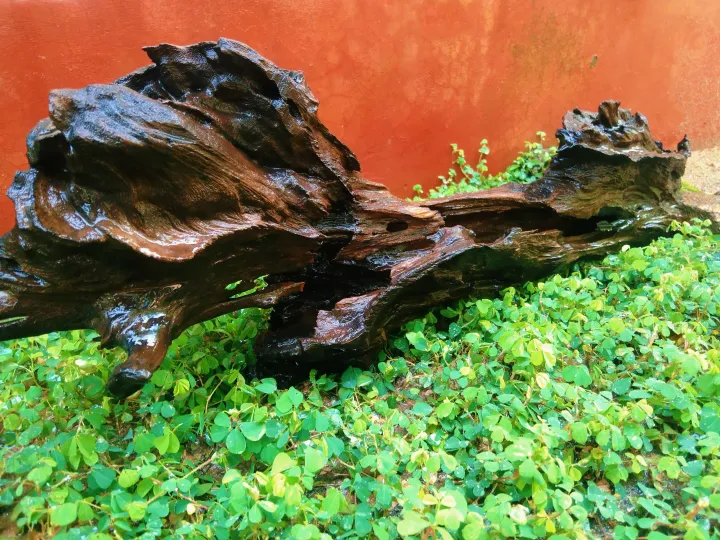 Aquarium%20Natural%20Tree%20Trunk%20Driftwood%20Fish%20Tank%20Plant%20Wood%20Decoration%20-%20Image%202