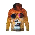 Sunglasses lion 3D printed hoodies Kids unisex casual stylish comfortable novelty sweatshirts long sleeve tops Autumn Winter. 