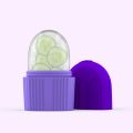 Ice Facial Roller Skin Care Beauty Tool. 