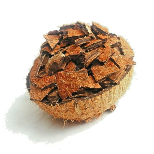 Coconut%20Shell%20Chips%201kg%20/%20Organic%20Cracked%20Coconut%20Shell%20Chips%20For%20Make%20Active%20Carbon%20Charcoal%201kg%20/%20Natural%20Coconut%20Shell%20%20Chips%201%20kg%20-%20Image%202