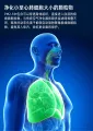【BestGO】Aolon Air Purifier XZ001 Wearable Air Purifier Necklace Mini Portable USB Air Cleaner Negative Ion Generator Low Noise Air Freshener USB Charge,For home And Outdoor. 