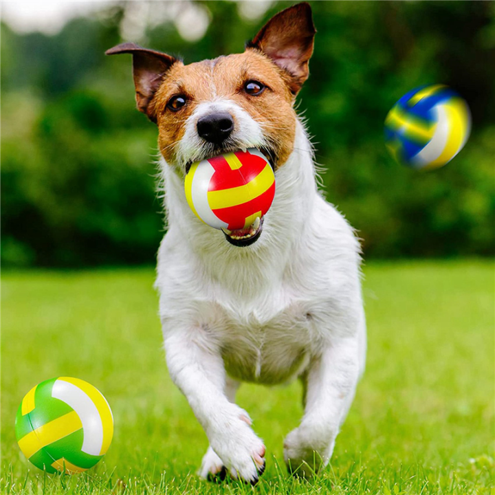 24%20Pcs%20Mini%20Volleyball%20Stress%20Balls%20Foam%20Sports%20Relief%20Stress%20Ball%20Soft%20Small%20Volleyball%20Toys%20Ball%20Gift%20Filler%20-%20Image%202