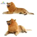 ABH Pet Costume Lion Mane Wig with/without Ears for Large Dog Halloween Clothes Fancy Dress up. 