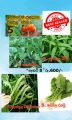Fast Growing Vegetable Seeds  5 Packets. 