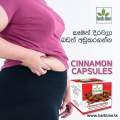 Herb Line Cinnamon Capsules 60 Capsules 200 Mg Each. 