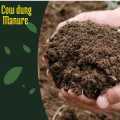 Cow Dung Manure Fertilizer Organic /Agriculture/Fertilizer/gardening-1kg. 