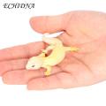 Bright Colored Gecko Toy Realistic Miniature Gecko Statues Fun Educational Toy for Kids Halloween Decoration Southeast Asian Buyers' Choice Gecko Statue Toy. 