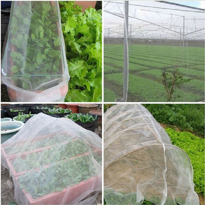 2.5x6m%202.5x10m%20Garden%20Crops%20Plant%20Protect%20Netting%20Mesh%20Bird%20Net%20Insect%20Animal%20Vegetables%20-%20Image%203