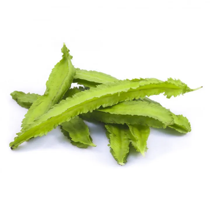 Green%20Winget%20Dabala%20Beeja%20%E0%B6%AF%E0%B6%B9%E0%B6%BD%20%E0%B6%B6%E0%B7%93%E0%B6%A2%20Home%20Garden%20Agriculture%20-%20Image%205