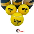 Wini 3 Cricket Ball (1 Tin 3 Balls). 