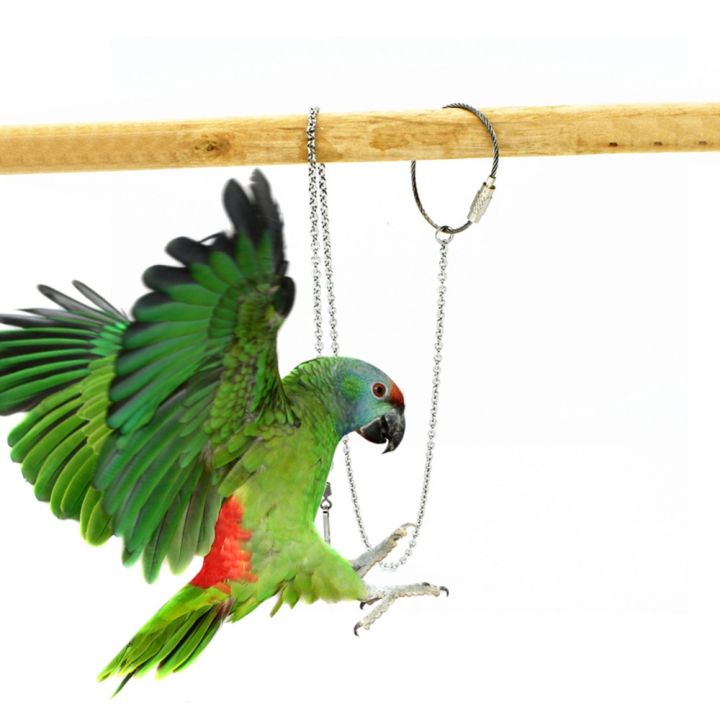 1Pcs%20Stainless%20Steel%20with%20Swivel%20Buckle%20Starling%20Pigeon%20Outdoor%20Parrot%20Foot%20Ring%20Bird%20Accessories%20Bird%20Stand%20Ankle%20Parakeet%20Foot%20Chain%20-%20Image%205