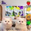 CLEAN+ Low-odor Clumping Cat Litter - Dust-Free & Scented (Lavender/Strawberry/Orange/Coffee) - 5L/10L/25L Options. 