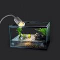 25W Halogen Heat Lamp UVA UVB Basking Lamp Heater Light Bulb for Reptiles Lizard Turtle Aquarium. 