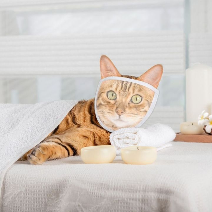 Transparent%20Chewing%20Safety%20Anti%20Bite%20Cat%20Muzzle%20Bathing%20Grooming%20Tools%20Mouth%20Guard%20Kitten%20Muzzles%20Mask%20-%20Image%208