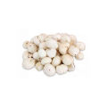 Fox Nuts (Makhana) – 250g. 