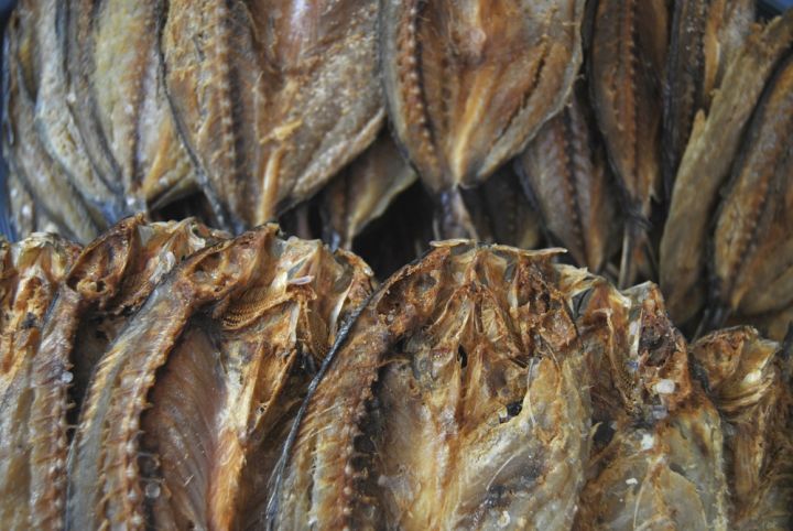 Premium%20Dried%20Tuna%20Fish%20Multipack%20-%20Low%20Fat,%20Healthy%20Snack%20Option%20-%20Image%205