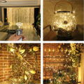 Auoyo Curtain Lights 300 LED Curtain Fairy String Lights with Remote USB Plug in Copper Wire Lights for Bedroom Wedding Party Home Garden Indoor Wall Christmas Decorations. 