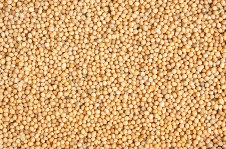 White%20Mustard%20Seeds%20%7C%20Ven%20kadugu%20(%E0%AE%B5%E0%AF%86%E0%AE%A3%E0%AF%8D%E0%AE%95%E0%AE%9F%E0%AF%81%E0%AE%95%E0%AF%81%20%20%7C%20%E0%B7%83%E0%B7%94%E0%B6%AF%E0%B7%94%20%E0%B6%85%E0%B6%B6)%20-%20100g%20-%20Image%203