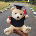 Graduation Teddy Bear Graduation Gift Toy Teddy Bear. 