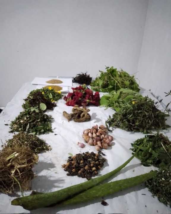 Ancient%20Isiwara%20Keshadi%20Hair%20Oil-%20%E0%B6%B4%E0%B7%94%E0%B6%BB%E0%B7%8F%E0%B6%AB%20%E0%B6%89%E0%B7%83%E0%B7%92%E0%B7%80%E0%B6%BB%20%E0%B6%9A%E0%B7%9A%E0%B7%82%E0%B7%8F%E0%B6%AF%E0%B7%92%20%E0%B6%AD%E0%B7%9B%E0%B6%BD%E0%B6%BA%20-%20Image%202