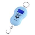 Portable Mini 50Kg/10g LCD Display Luggage Fishing Hook Electronic Weight Digital Scale Pocket Weighing Hanging Scale. 