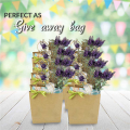 Kraft Paper Bags 50Pcs 5.9X3.14X8.2 Inches Small Paper Gift Bags with Handles Shopping Bags Brown Paper Bags. 