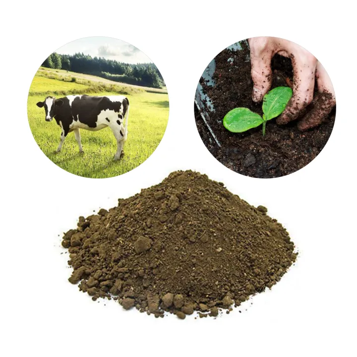 Cow%20Dung%20Compost%202kg%20Organic%20Fertilizer%20Agriculture%20Home%20Gardening%20-%20Image%202