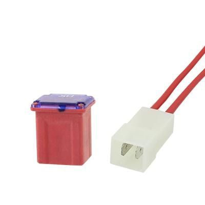 shhworldsea 1set=1pcs fuse+1pcs fuse box Mini Square Fuse 20A 30A 40A ...