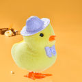 Wind Up Chicken Soft Wind Up Jumping Chicken. 