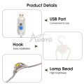 Auoyo Curtain Lights 300 LED Curtain Fairy String Lights with Remote USB Plug in Copper Wire Lights for Bedroom Wedding Party Home Garden Indoor Wall Christmas Decorations. 