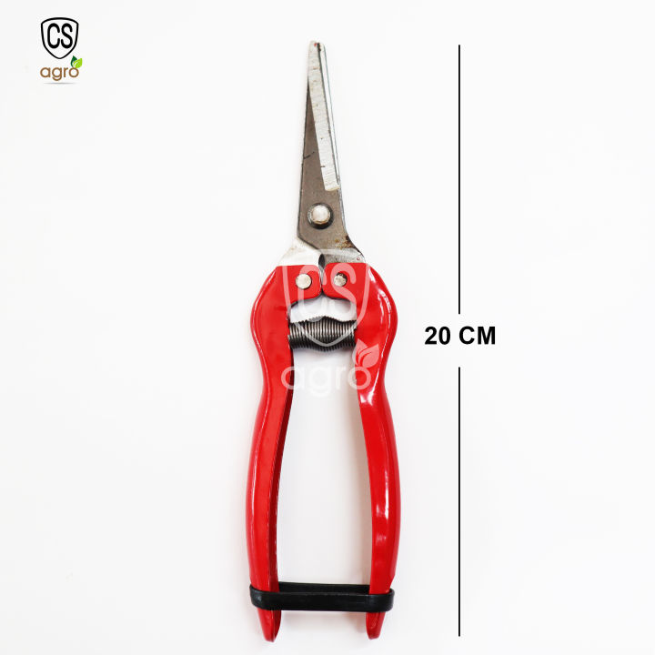 Garden%20Fruit%20Tree%20Branch%20Cutting%20Pruning%20Scissors%20Tool%2020cm%20-%20Image%203