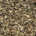 Carrot New Kuroda Seeds 1g කැරට් බීජ. 