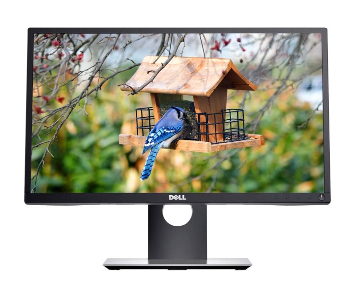 Dell 20 Inch P2017H Ips Full HD Hdmi Monitor
