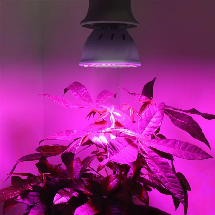 E27%205W%206W%208W%2048/60/80LED%20Grow%20Lamp%20Plant%20Light%20Full%20Spectrum%20Growing%20Hydroponic%20Red,%20Blue,%20White%20,Warm%20White%202835SMD%20Flower%20Bulb%20For%20Growth%20Garden%20Greehouse%20-%20Image%206