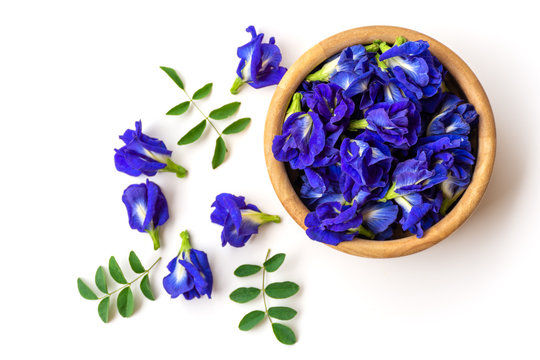 Nil Katarolu නිල් කට‍රොළු Blue Butterfly Pea 50g