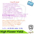 Horticare Flori Plus Flower Blooming Fertilizer for All Kind of Plant Home Garden 100ml Liquid. 